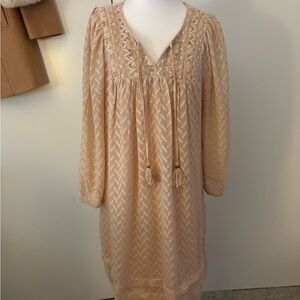 Elegant Lace-Trimmed Dress